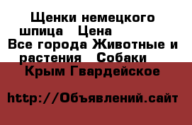 Щенки немецкого шпица › Цена ­ 20 000 - Все города Животные и растения » Собаки   . Крым,Гвардейское